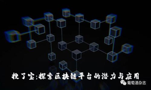 搜了宝：探索区块链平台的潜力与应用
