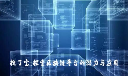 搜了宝：探索区块链平台的潜力与应用