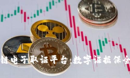 浙江省区块链电子取证平台：数字证据保全与应用探索