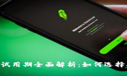 区块链服务平台试用期全面解析：如何选择、使用与效果评估