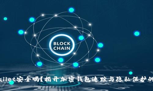 tpWallet安全吗？揭开加密钱包追踪与隐私保护的真相