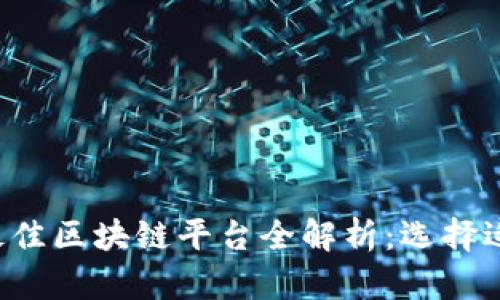 2023年度最佳区块链平台全解析：选择适合你的项目