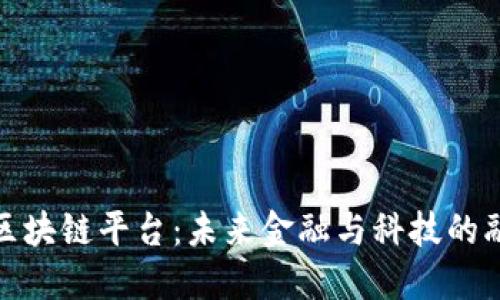 双十一区块链平台：未来金融与科技的融合之路