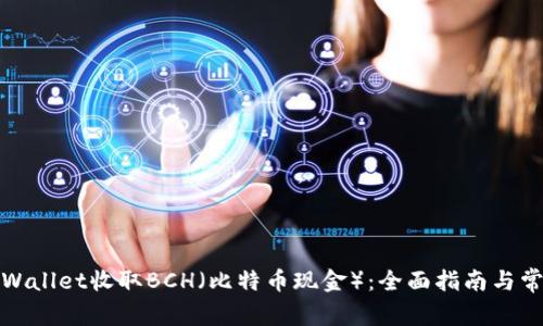 如何使用tpWallet收取BCH（比特币现金）：全面指南与常见问题解答