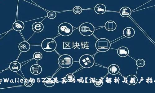 tpWallet的BZZ是真的吗？深度解析与用户指南