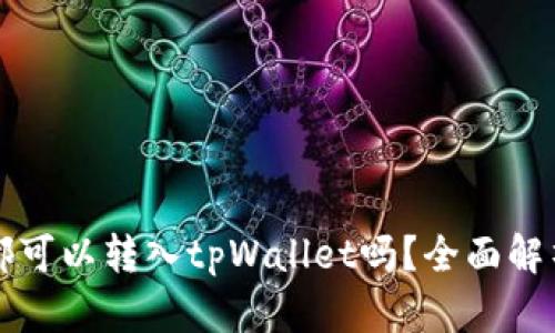 所有的币种都可以转入tpWallet吗？全面解析与使用指南