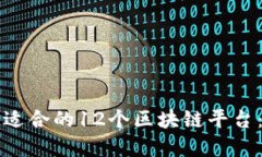 如何选择适合的12个区块链