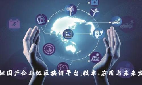揭秘国产企业级区块链平台：技术、应用与未来发展