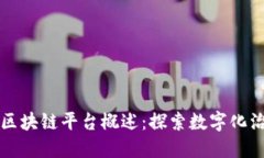 上海政府区块链平台概述
