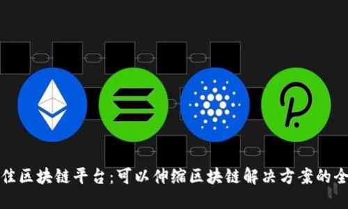 探索最佳区块链平台：可以伸缩区块链解决方案的全面指南