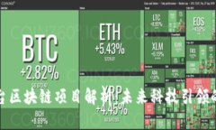 新平台区块链项目解析：