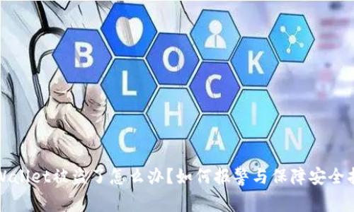 tpWallet被盗了怎么办？如何报警与保障安全指南