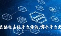 2023年区块链系统平台评测
