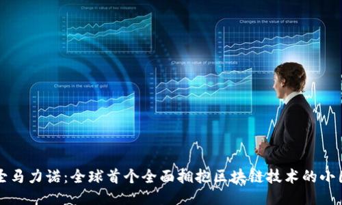 圣马力诺：全球首个全面拥抱区块链技术的小国