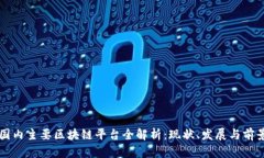国内主要区块链平台全解析：现状、发展与前景