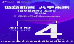 tpWallet提币不成功原因解析与解决方案