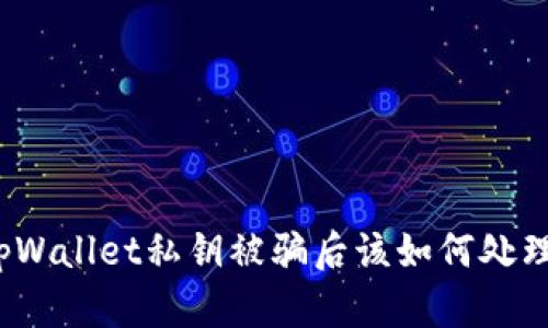 tpWallet私钥被骗后该如何处理？