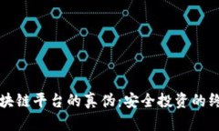 识别区块链平台的真伪：安全投资的终极指南