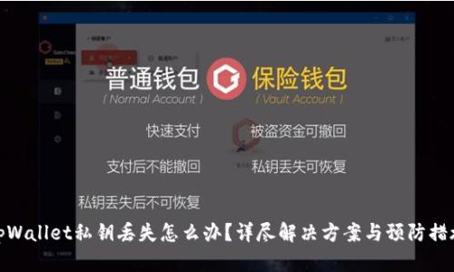 tpWallet私钥丢失怎么办？详尽解决方案与预防措施