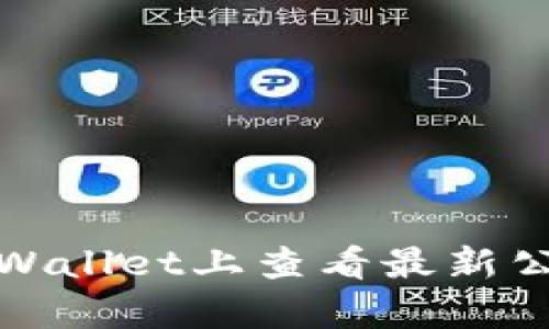 如何在tpWallet上查看最新公告与信息