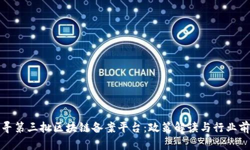探寻第三批区块链备案平台：政策解读与行业前景