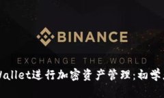 如何使用tpWallet进行加密资