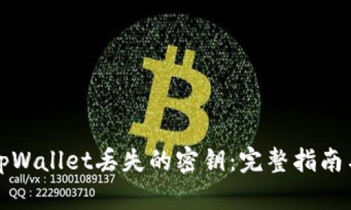 如何找回tpWallet丢失的密钥：完整指南与实用技巧