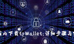 如何在国内下载tpWallet：详