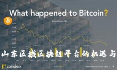 探索山东区域区块链平台