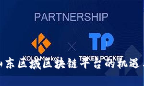 探索山东区域区块链平台的机遇与挑战