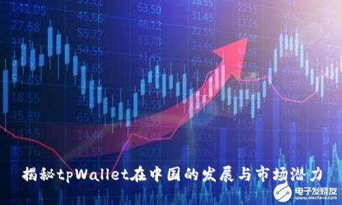 揭秘tpWallet在中国的发展与市场潜力