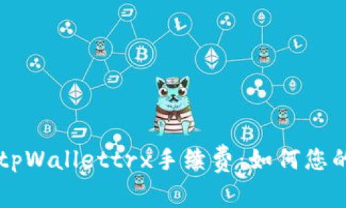 深入解析tpWallettrx手续费：如何您的资金支出