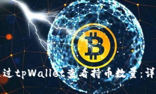 如何通过tpWallet查看持币数量：详细指南