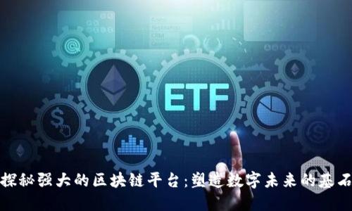 探秘强大的区块链平台：塑造数字未来的基石
