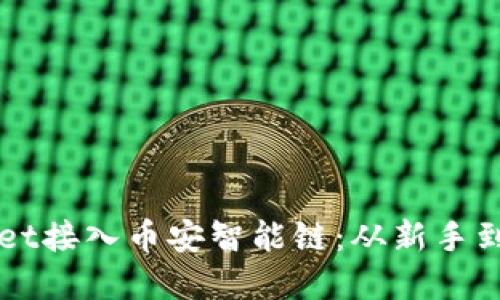 如何使用tpWallet接入币安智能链：从新手到高手的全面指南