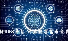 全球区块链BEX平台：开启