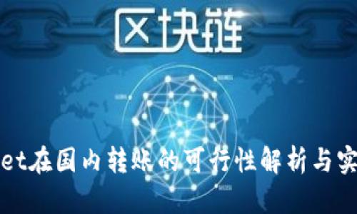 tpWallet在国内转账的可行性解析与实用指南