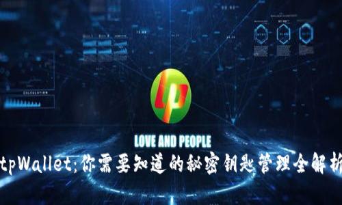 tpWallet：你需要知道的秘密钥匙管理全解析