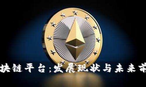 南京区块链平台:发展现状与未来前景分析