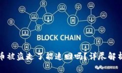 tpWallet的币被盗走了能追回