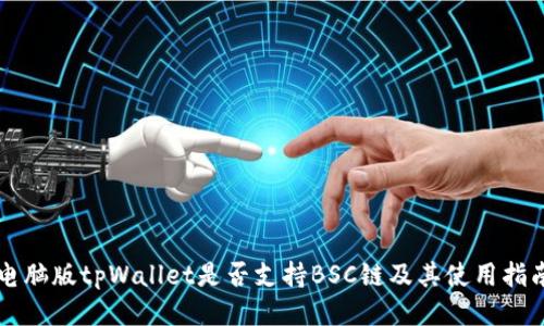 电脑版tpWallet是否支持BSC链及其使用指南