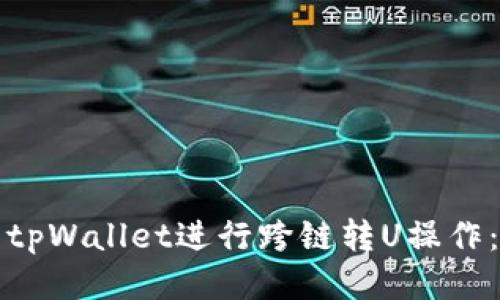 如何使用tpWallet进行跨链转U操作：详尽指南
