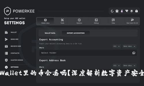 tpWallet里的币会丢吗？深度解析数字资产安全性