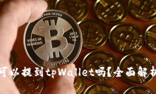 : 中本聪币可以提到tpWallet吗？全面解析与操作指南