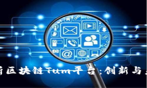 深入解析区块链Tum平台：创新与未来机遇