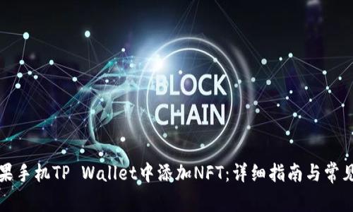 如何在苹果手机TP Wallet中添加NFT：详细指南与常见问题解答