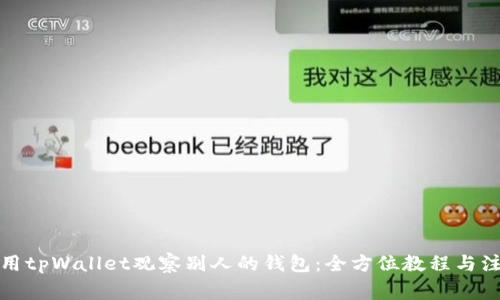 如何使用tpWallet观察别人的钱包：全方位教程与注意事项