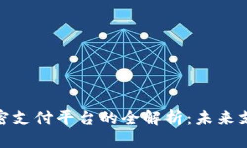 和关键词

区块链加密支付平台的全解析：未来支付的革命