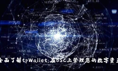 全面了解tpWallet：在BSC上管理您的数字资产