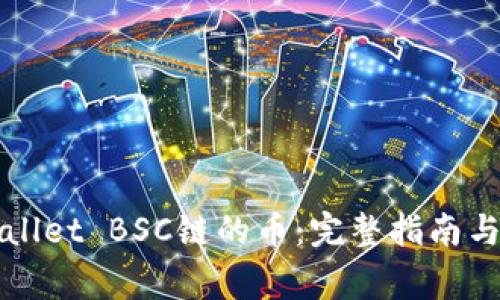 如何找回tpWallet BSC链的币：完整指南与常见问题解答